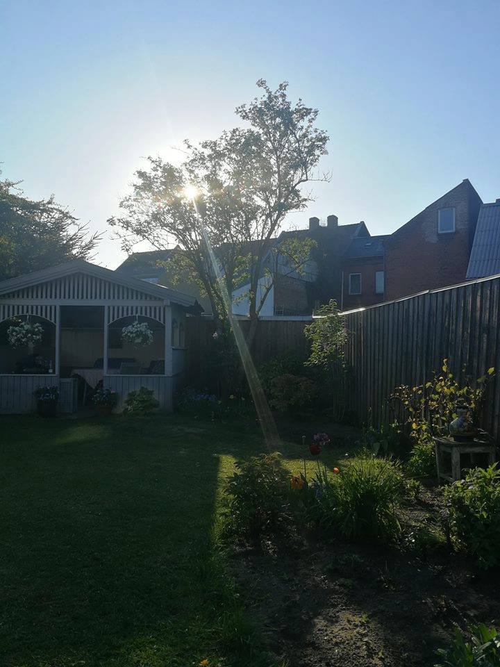 Familien Elkjærs baghave danner rammen for en snak om livet og døden