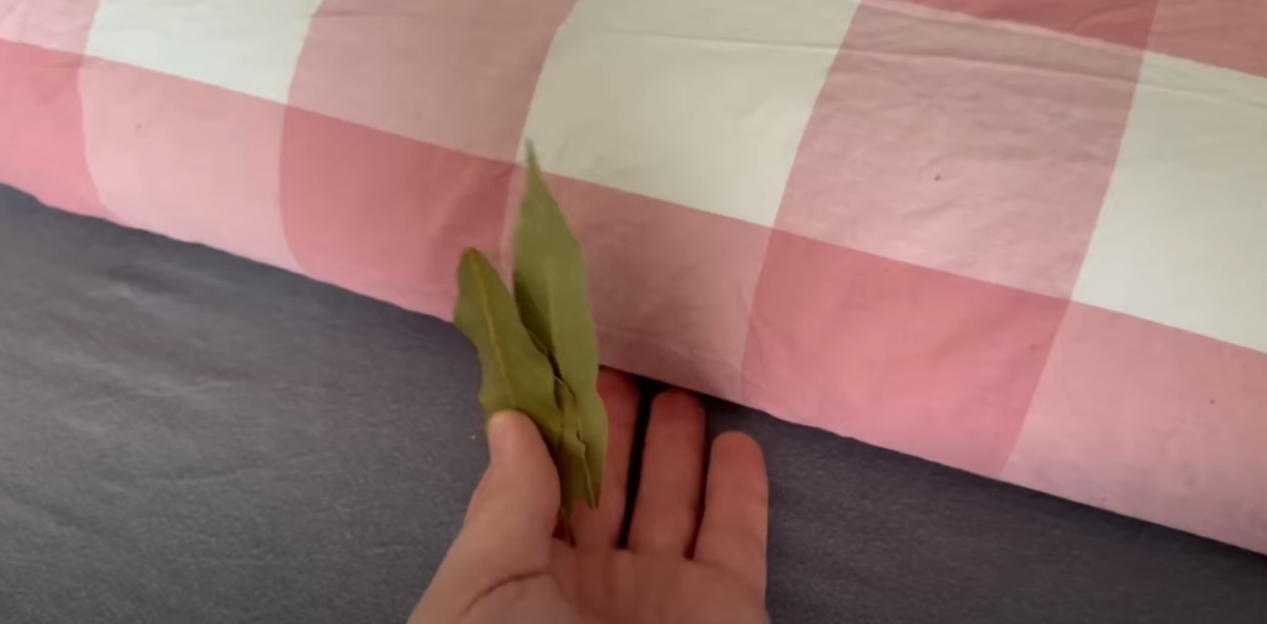 ‘Hvorfor du bør lægge et laurbærblad under din pude, før du går i seng’