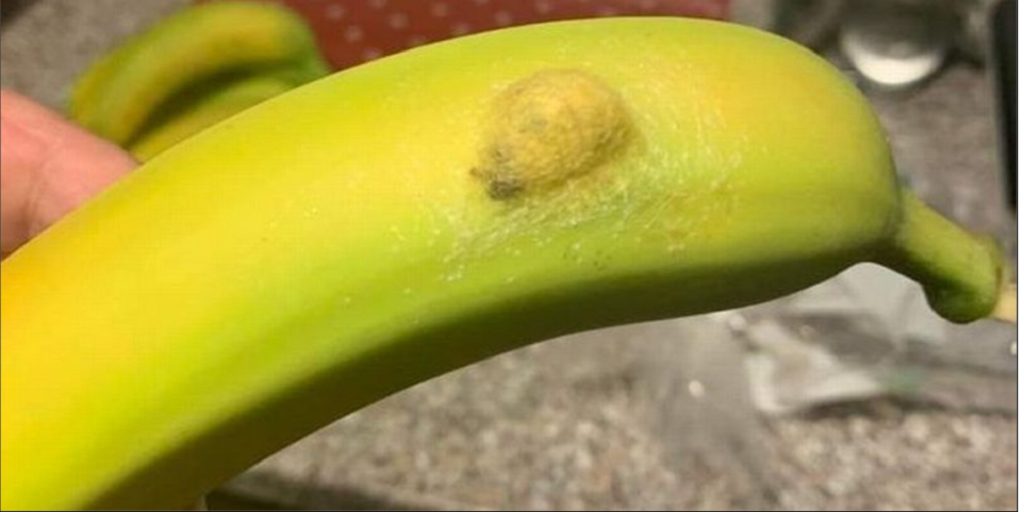 Han laver banantricket, alle bør kende: Du vil ikke gå glip af det