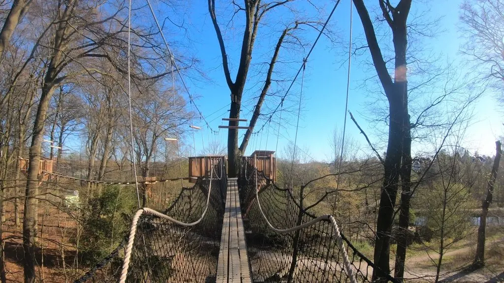 Ny attraktion i Odense Zoo giver et fugleperspektiv fra trækronerne