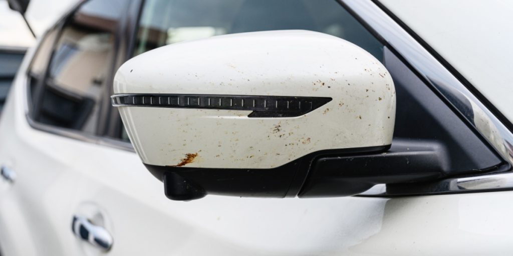 Mange har lagt mærke til det: Derfor er der færre døde insekter på din bil