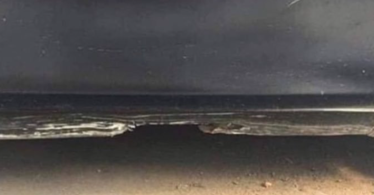 Billedet, som folk ser forskelligt, har taget internettet med storm: Men hvad ser du?