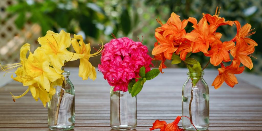 Ingen grund til at vente: 15 blomster der springer ud, så snart du planter dem
