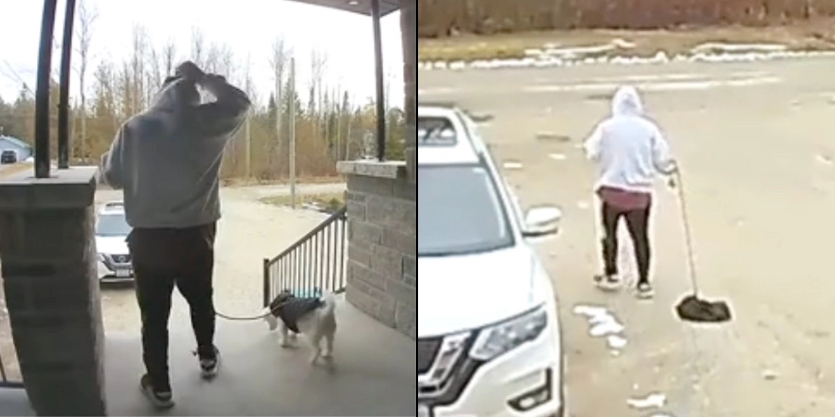 Lod sin bror lufte hunden ‘én gang’ – men så tjekkede han sit overvågningskamera