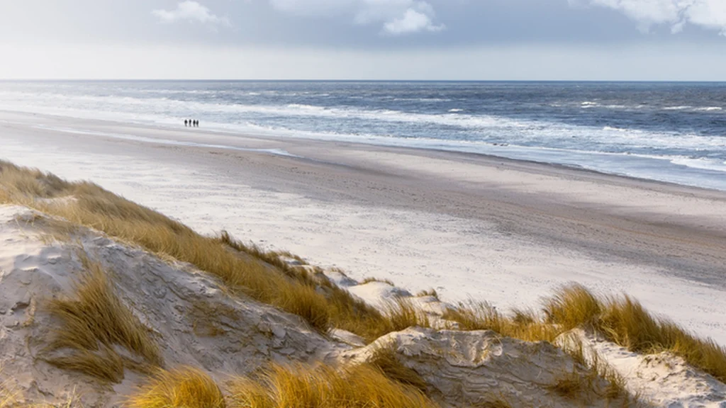 Nærmer sig 20 grader flere steder: DMI fremviser vilde badevandstemperaturer