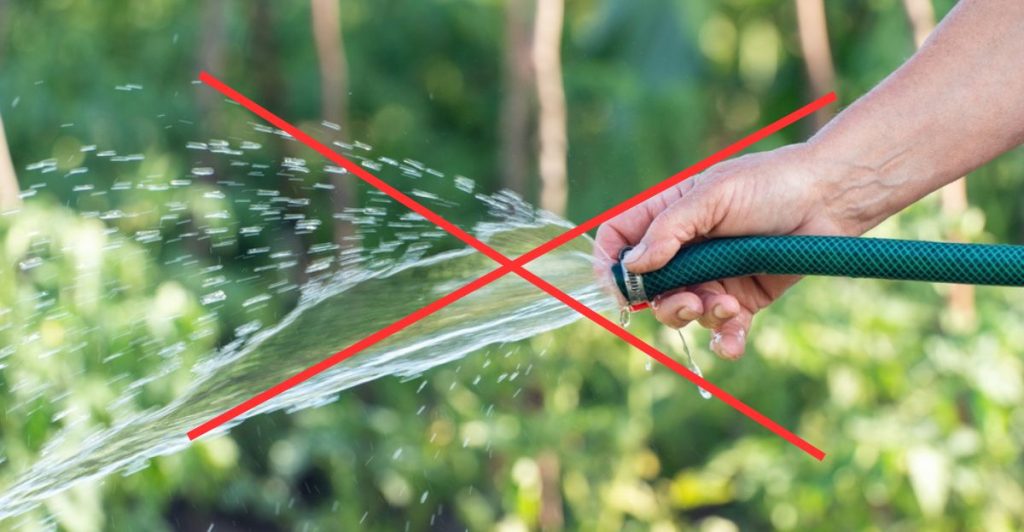 10 ting du skal droppe for en grønnere og mere bæredygtig have
