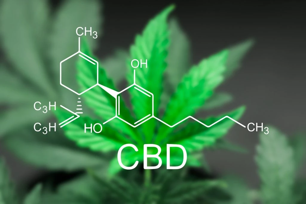 Forskerhold fra Aarhus har påvist, at stof fra Cannabisplanten virker mod depression