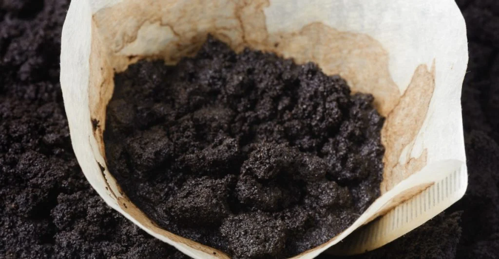 Læg kaffegrums i toilettet: Bare vent, til du ser og dufter resultatet