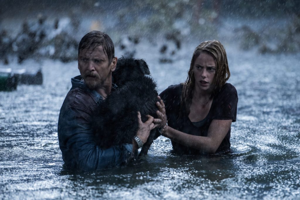 Alligatornado – anmeldelse af det klaustrofobiske actionbrag Crawl
