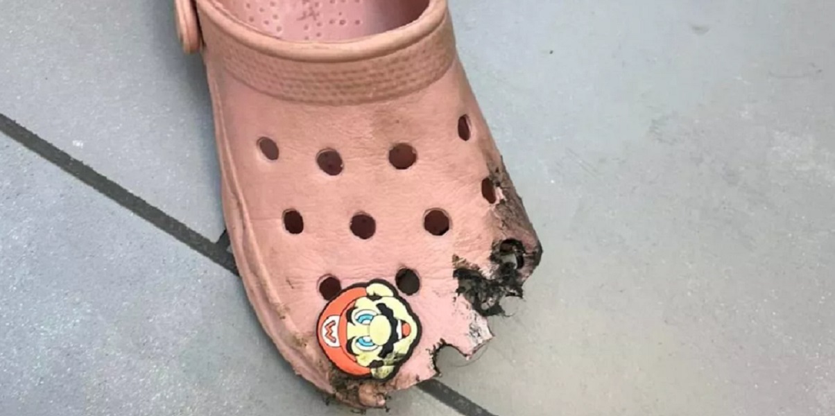 Crocs var nær skyld i ulykke: Nu advarer Olivia andre