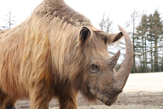 Stor turistattraktion skrotter den lune forårssol – istiden vender tilbage i weekenden