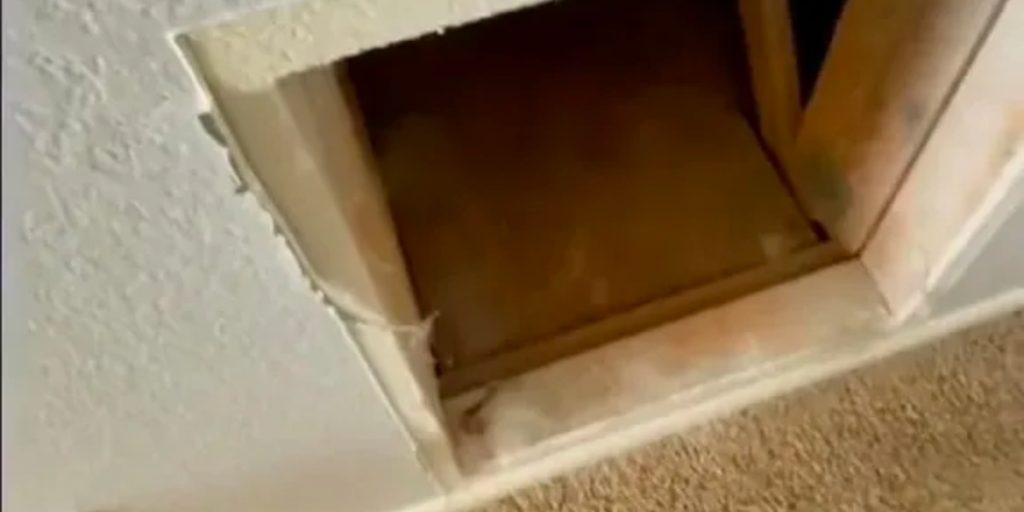 Daniel troede, at han havde købt almindeligt hus: Men så gjorde han overraskende fund