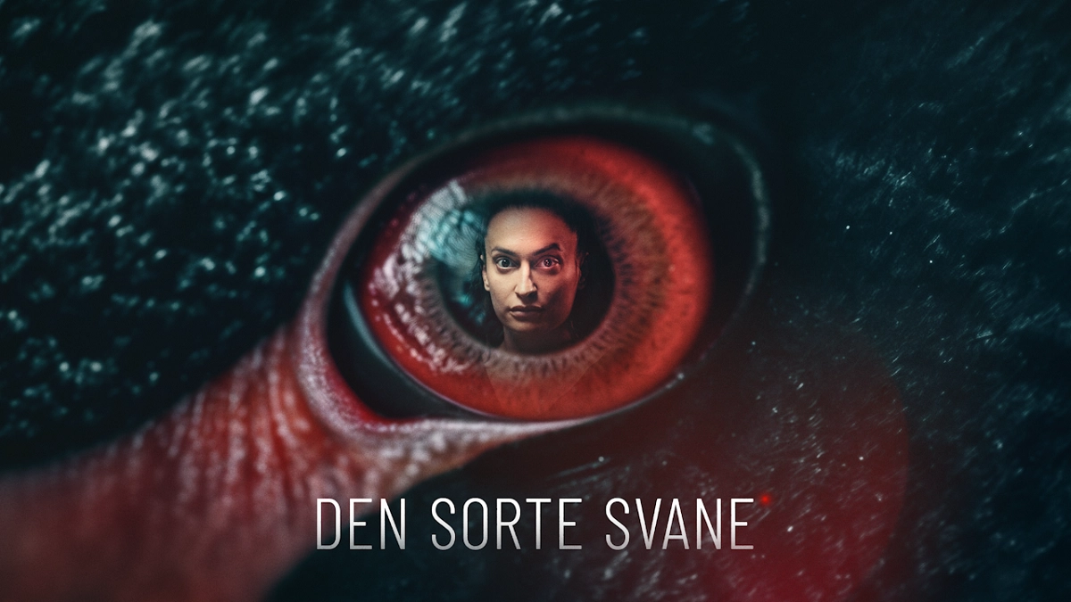 Breaking: Køge-Calle fra Den Sorte Svane sigtes for hvidvask