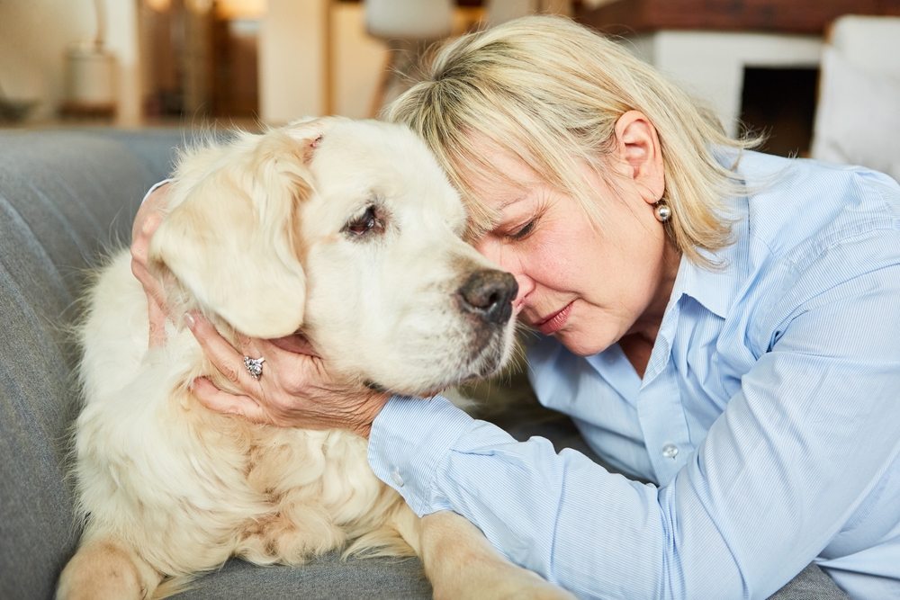 Hjælper mod depression og andre sygdomme: Derfor er hunden menneskets bedste ven