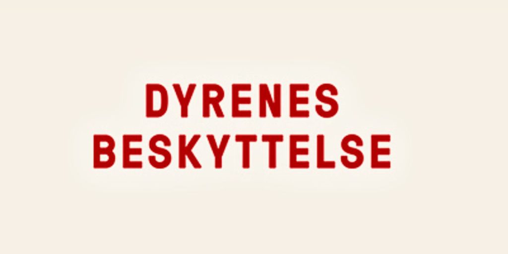 Dyrenes beskyttelse slår alarm: Deler hjerteskærende billeder