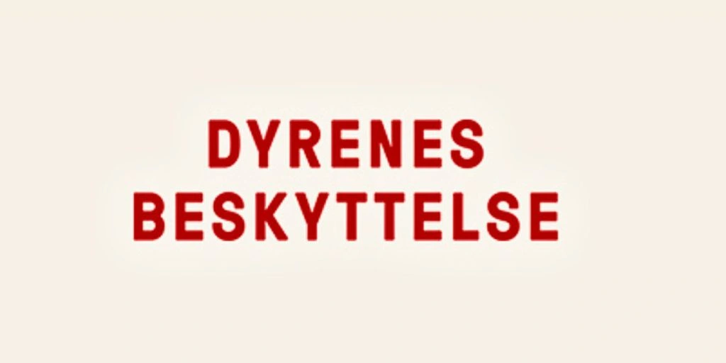 Dyrenes beskyttelse slår alarm: Deler hjerteskærende billeder