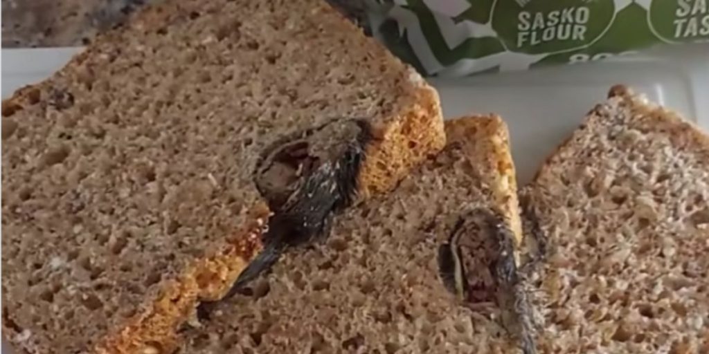 Kvinde gør chokerende fund i toastbrød fra supermarked: “Vil aldrig spise deres produkter igen”