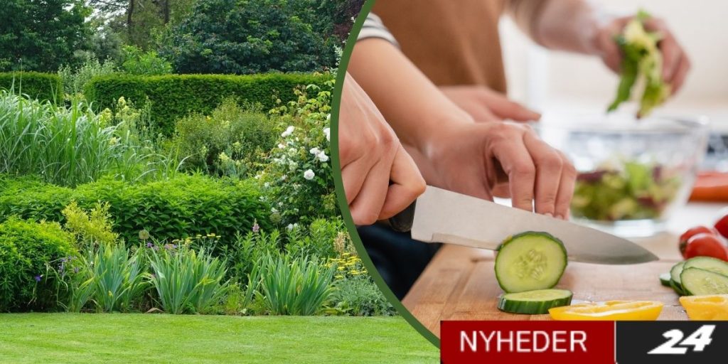 Spis efter sæsonen: Derfor er det godt