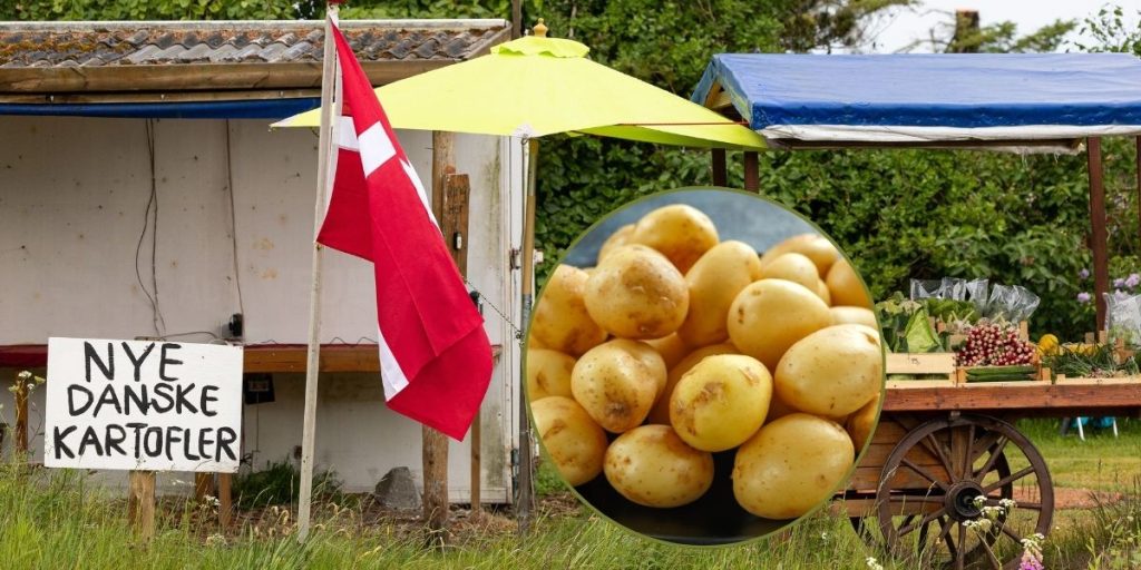 Sæson for nye danske kartofler: Sådan får du nemt skindet af