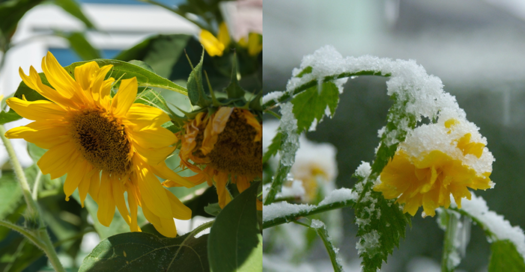 Simple tegn kan afsløre dig: Er du klar til sommer eller fanget  i januar?