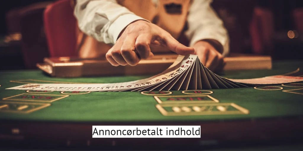 Sådan vælger du bedst et casino og spille på