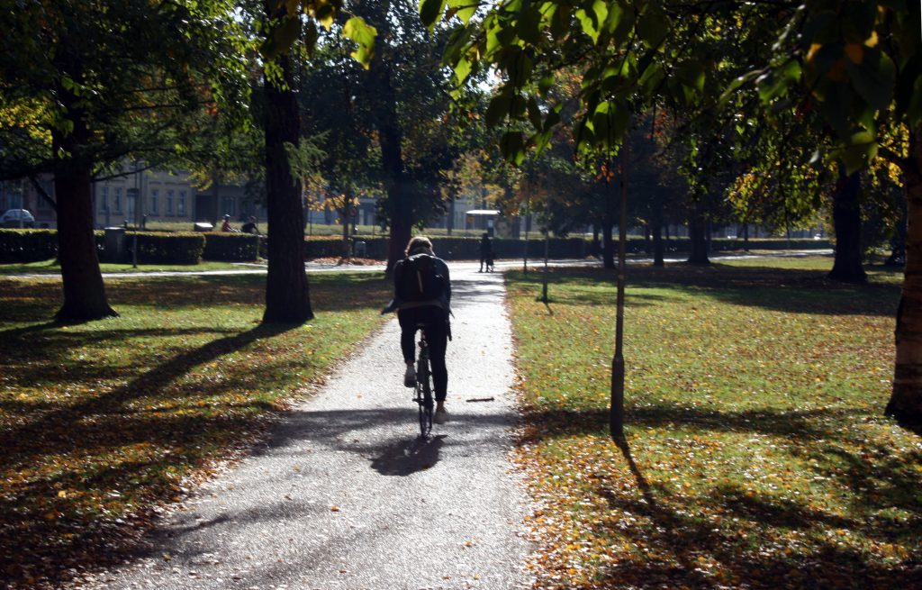 Odense vil være Danmarks grønneste storby