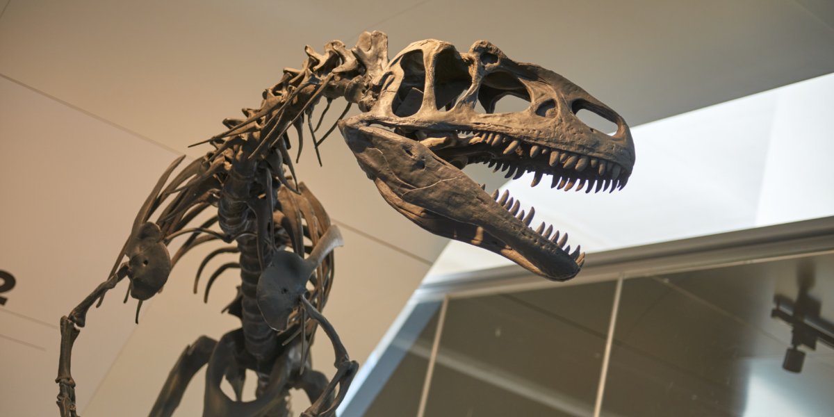 Hvor kom dinosaurerne fra? Forskere siger, at de har fundet svaret