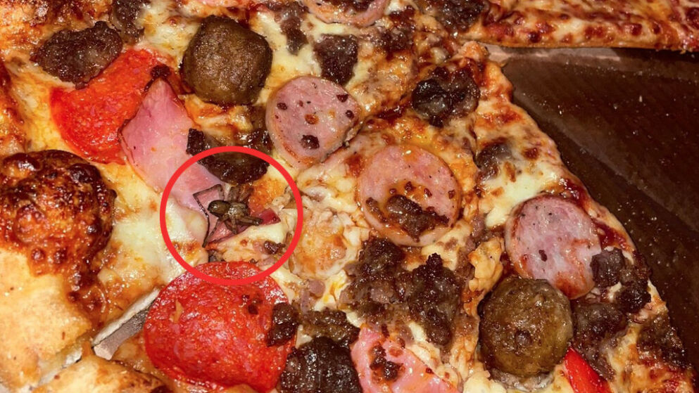 26-årig havde bestilt pizza fra Domino’s: Da hun åbnede bakken fik hun et chok