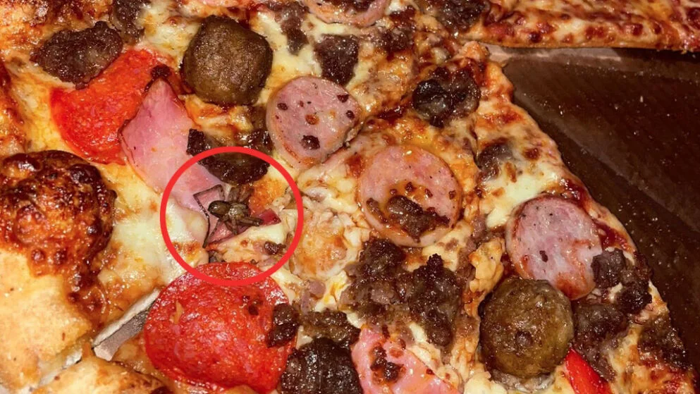 26-årig havde bestilt pizza fra Domino’s: Da hun åbnede bakken fik hun et chok