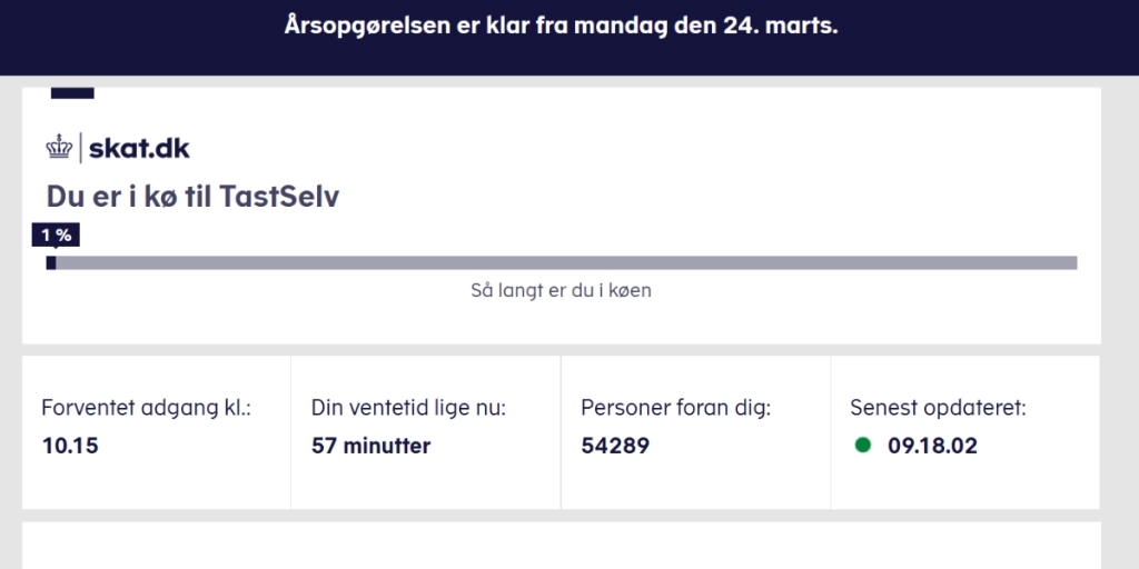 Denne gruppe danskere bør tjekke deres årsopgørelse ekstra grundigt