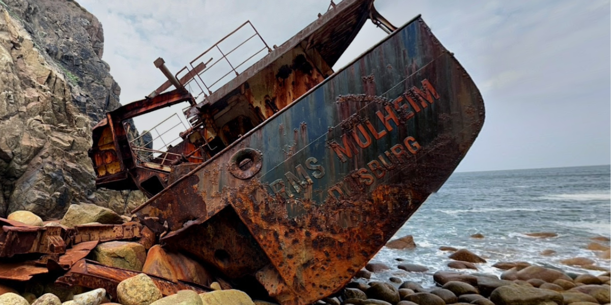 Josh opdager noget mystisk på Google Earth: Han rejser til stedet og gør et utroligt fund