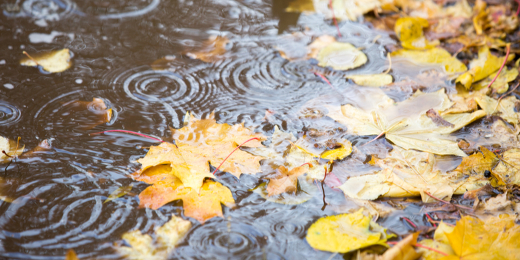 DMI med nedslående prognose: Regn og rusk på vej