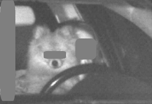 Hund sidder bag rattet: Færdselskontrol fanger usædvanligt syn
