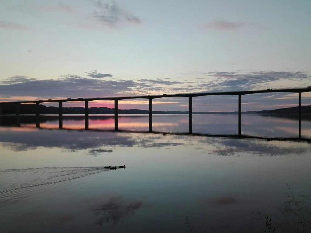 Sidste uges bedste billede i Facebook Vejle