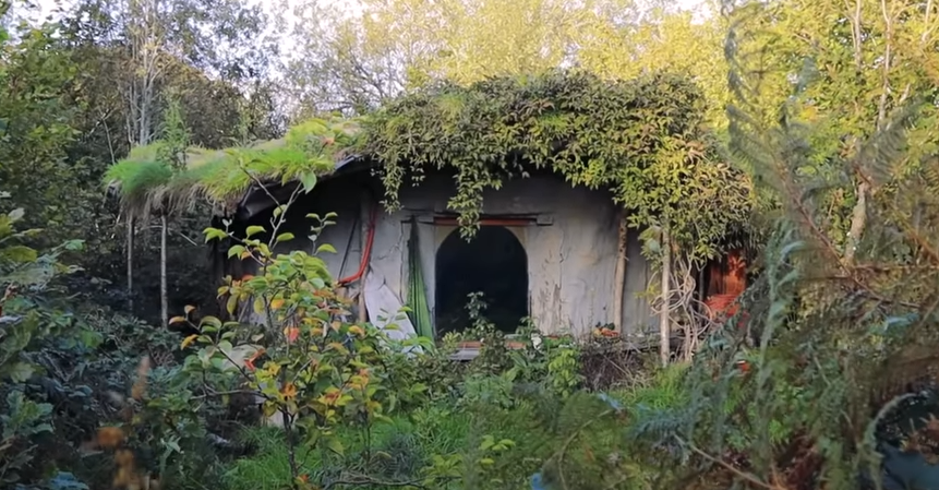 Emma byggede et hus i skoven for blot 7.000 kroner – men vent til du får et kig indenfor