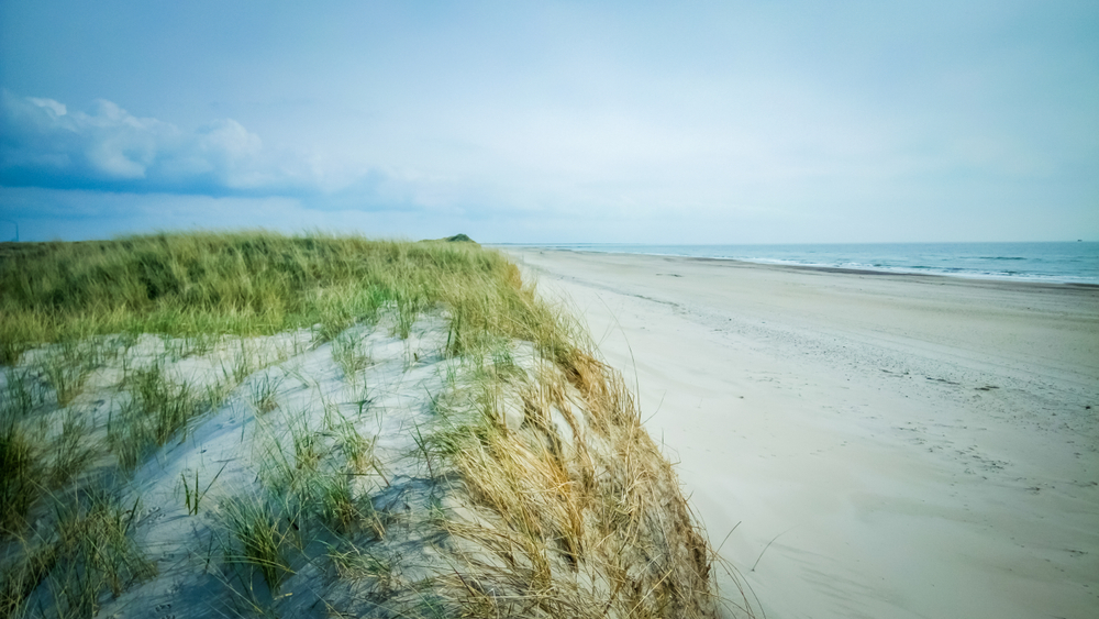 Fem fede ting ved Vestjylland