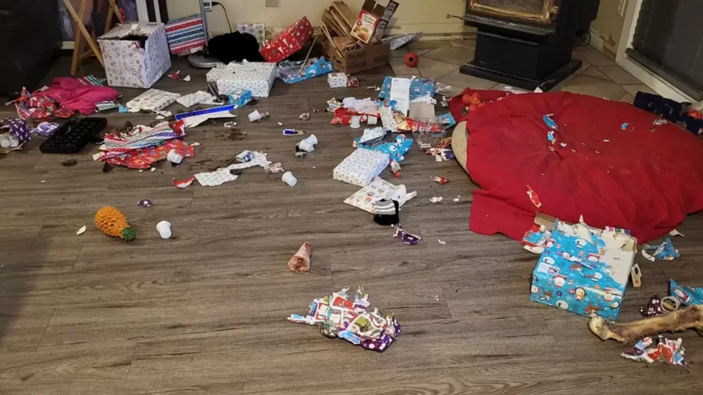 Familie blev mødt af chokerende syn, da de kom hjem: Alle julegaver var blevet åbnet