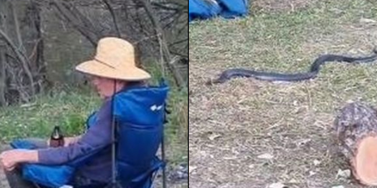 Far overraskes af giftig slange på campingtur: Nu går hans reaktion verden rundt