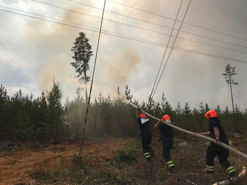 Razorback afblæste sommerferien for at bekæmpe skovbrande i Sverige