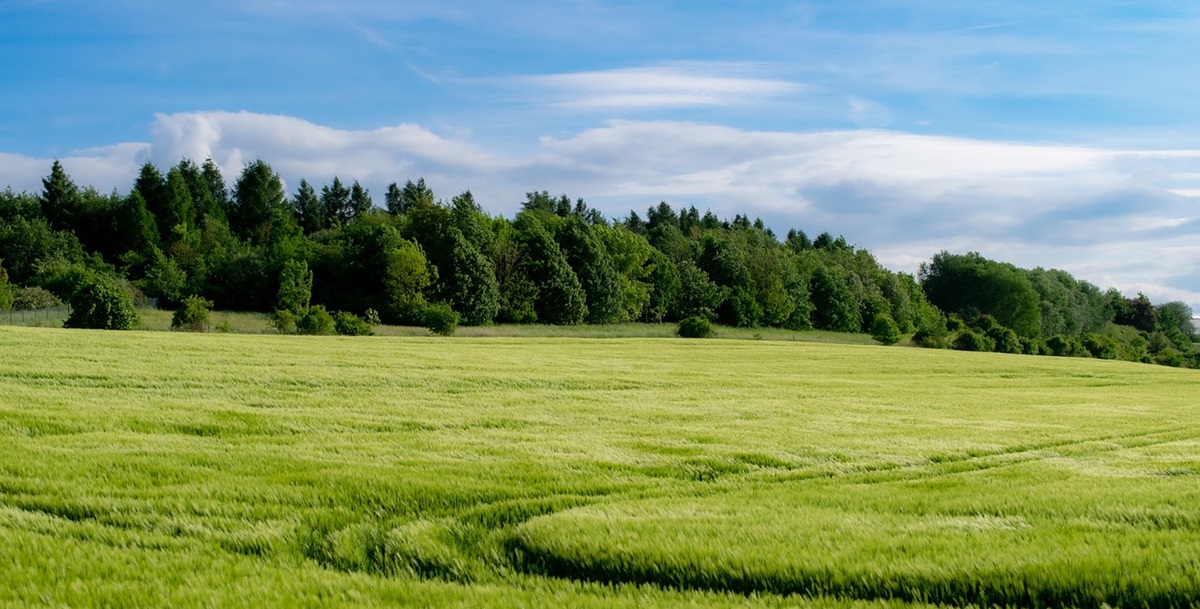 Dansk forsker vinder prestigefyldt pris