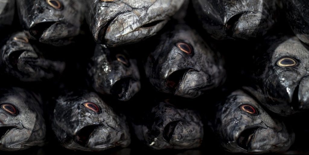 Mand blev forgiftet af fiskedampe: Måtte reddes ud af lastrum og få ilt