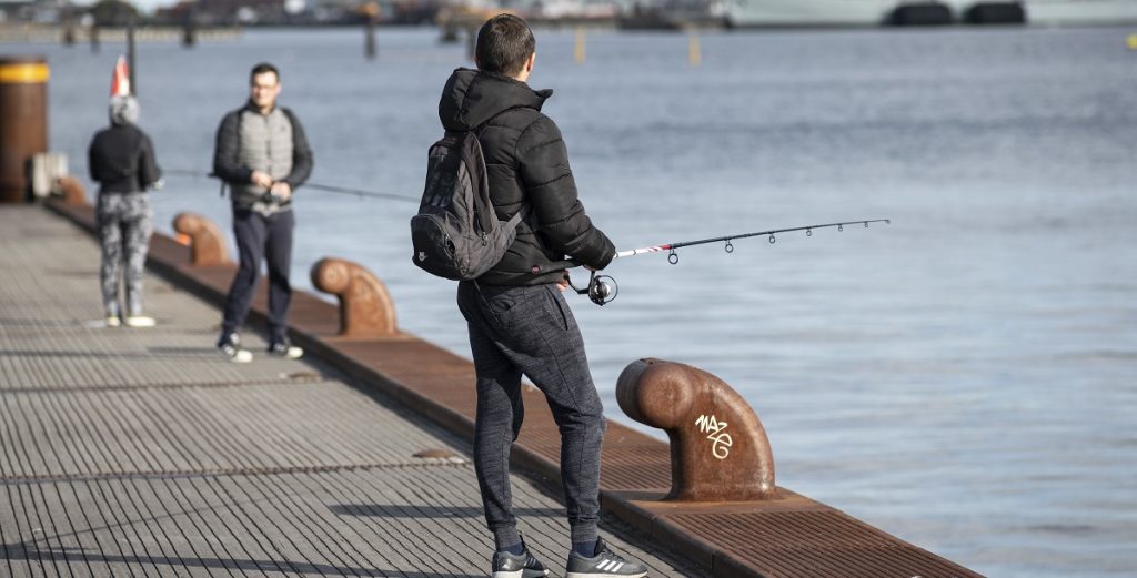 Fødevarestyrelsen med nyt forbud i Danmark