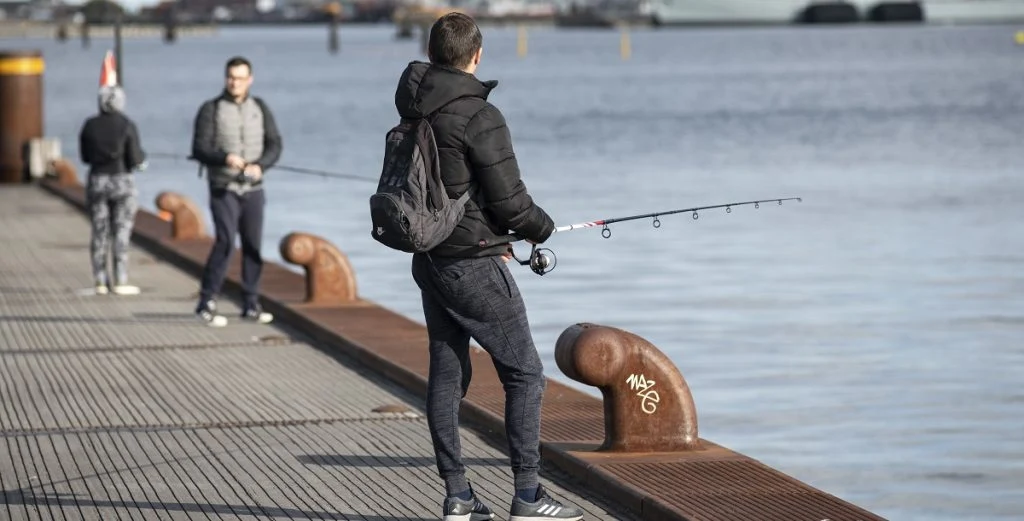 Fødevarestyrelsen med nyt forbud i Danmark