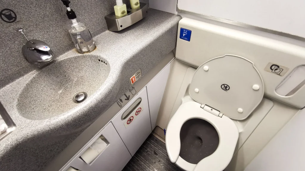 Mand trådte ud af flyets toilet: Da stewardesse opdagede hemmeligheden, vendte flyet om