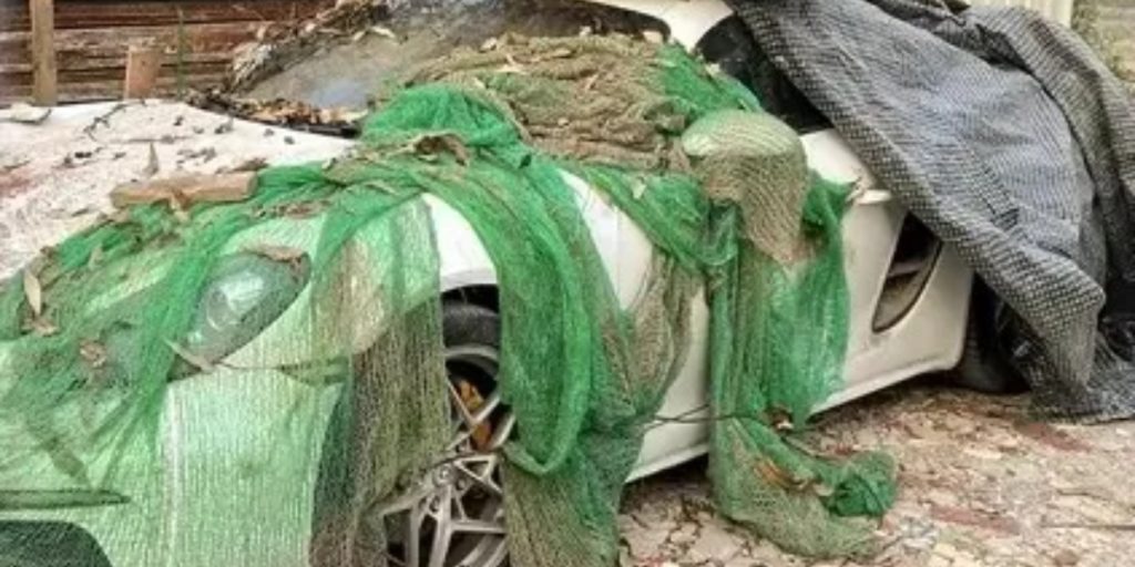 Mand forvandlede efterladt Porsche, så den blev som ny – tidligere ejer lod den ‘rådne’ i sin have