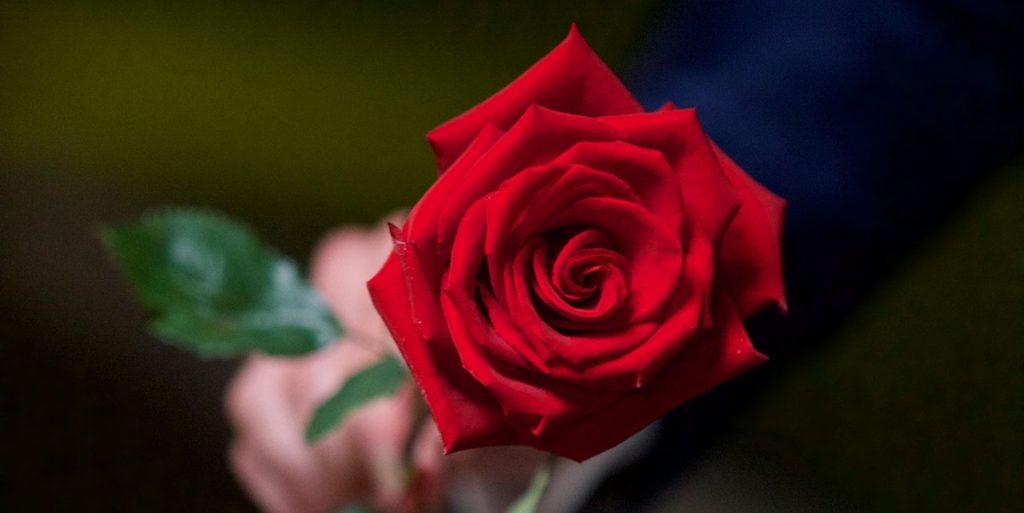 ‘Bachelor’-par afslører: Vi skal være forældre