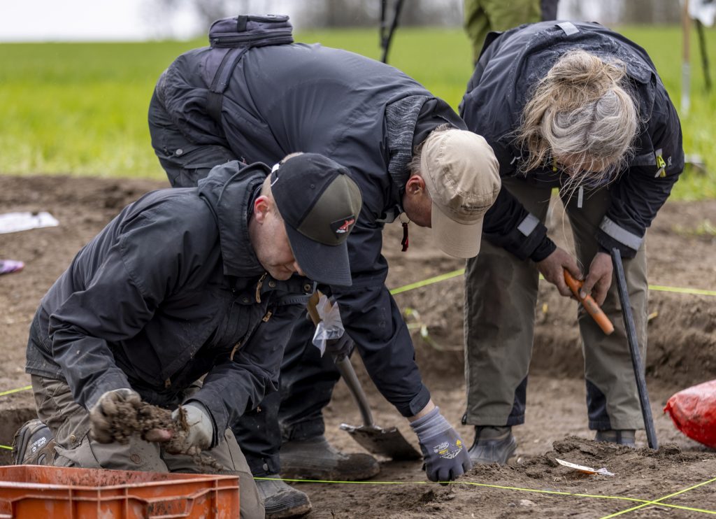 Amatør finder stor møntskat i midtjysk mark