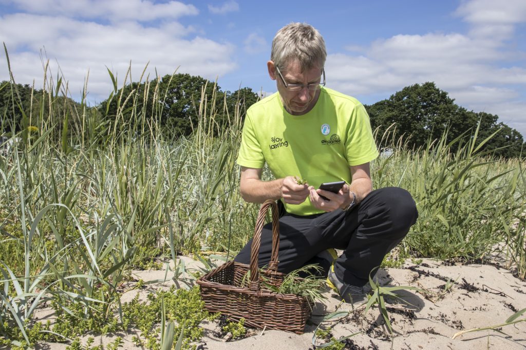 Oplev naturen og smag på vilde planter i Vognkær Enge