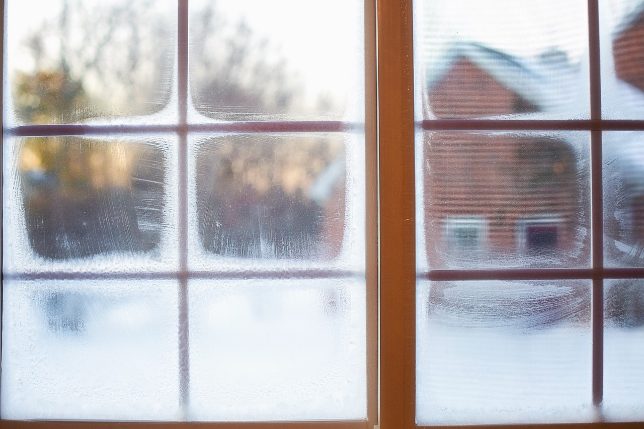 Genialt efterårstrick: Derfor bør alle stille en skål med salt ved vinduet i oktober