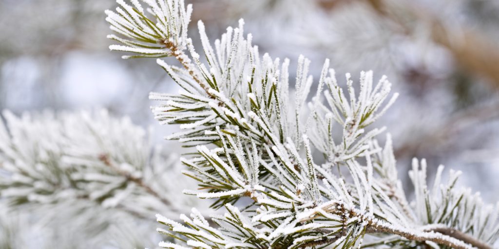 DMI med spændende julemelding: Der er håb endnu